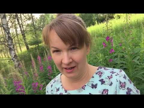 Video: Kuinka Tehdä Keinotekoisten Kukkien Paneeli Omin Käsin