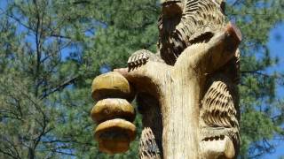 Ruidoso River Resort & Inn - Ruidoso (New Mexico) - United States