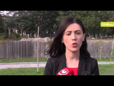 საკრებულოს წევრი - დადიანების მუზეუმის მიმდებარედ ივანიშვილს  აგარაკის მშენებლობა სურს