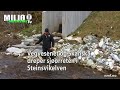 Vegvesenet og Skanska dreper sjøørreten i Steinsvikelven