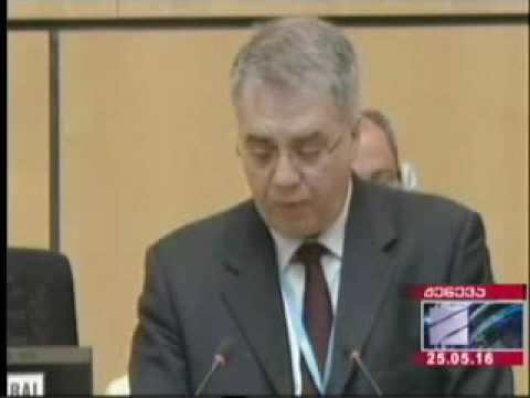 ჯანდაცვის მინისტრის ოფიციალური ვიზიტი ჟენევაში ჯანდაცვის მსოფლიო ასამბლეაზე