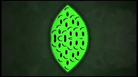 Troc 3 Merge Intro Pixitracker Major 105