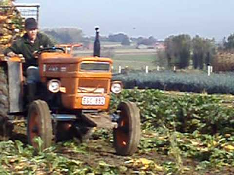 vb 024.avi