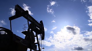 University Of Minnesota Innovator Kechun Zhang