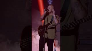 Spoegwolf By Aig 2025  afrikaans new concert afrikaansisgroot  dieoomblik aig25