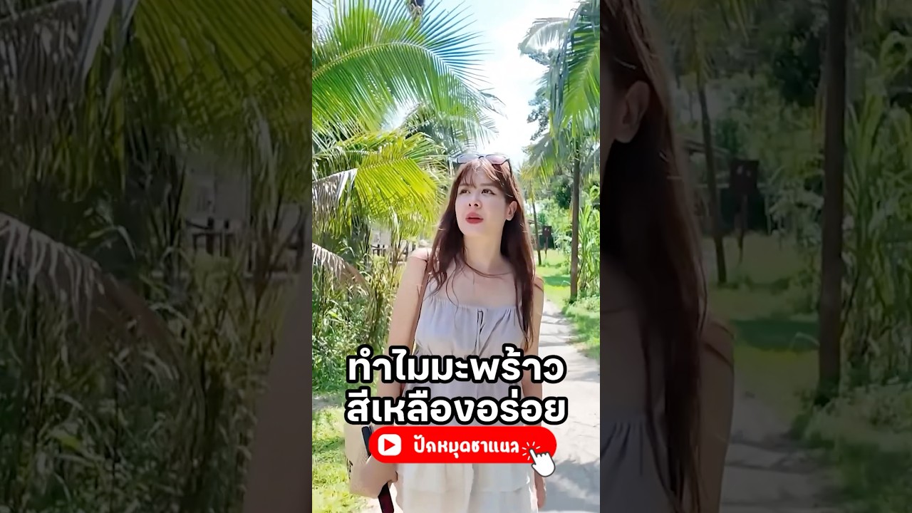 นวินผู้ชิมมะพร้าวทุกที่่ #มิ้นท์ #ยิ่งรู้จักยิ่งVlogเธอ #กระบี่ #ปักหมุดชาแนล  #VLOG  #มะพร้าว