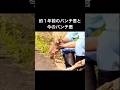 約1年前の猿のパンチ君と今の猿のパンチ君