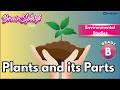 Plants and its parts | EVS Grade B | Chapter 10 | IP Study