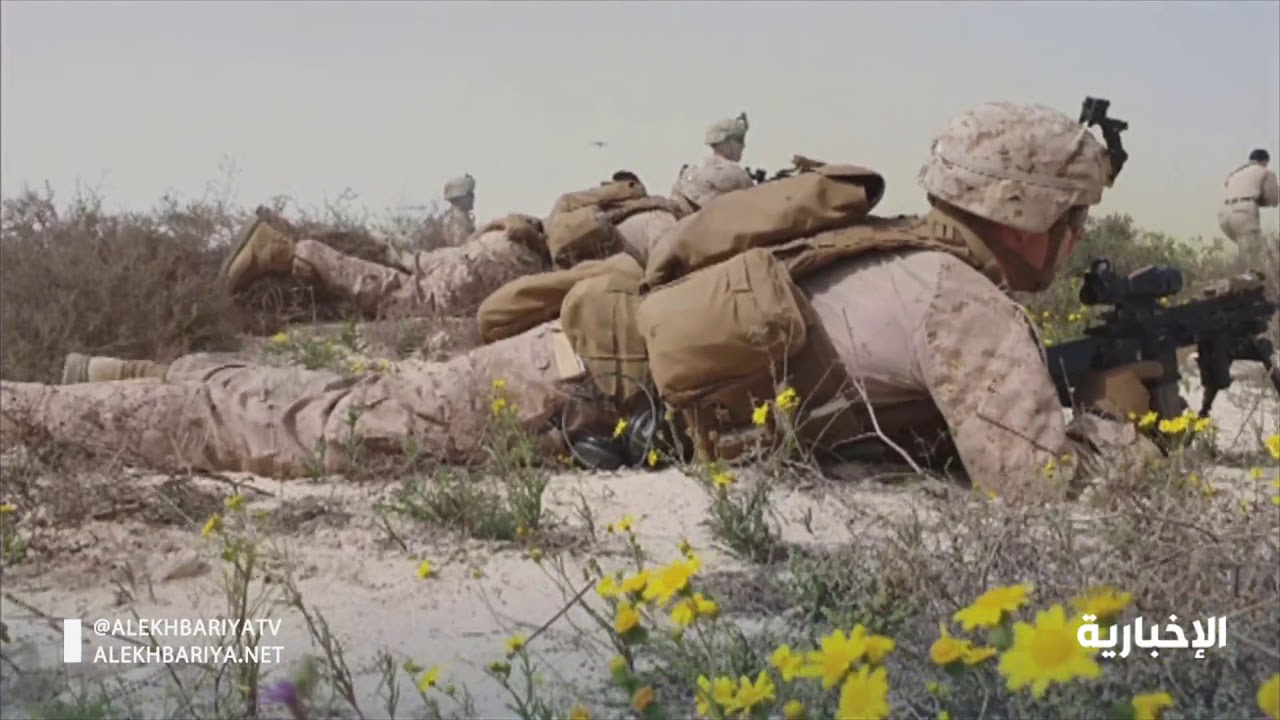 مناورات لمشاة البحرية في تمرين 