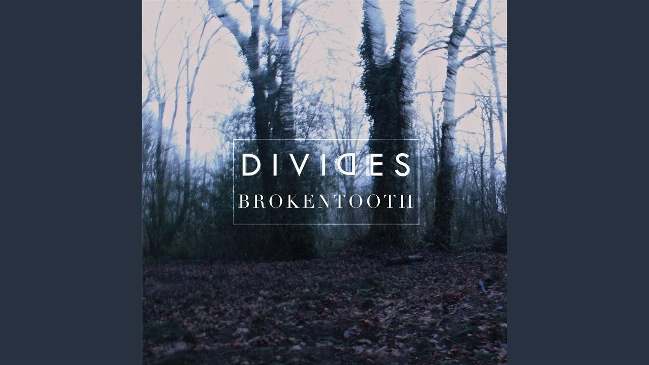 Watch The Space Between Branches on YouTube Watch The Space Between Branches on YouTube