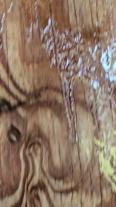 will-wasp-spray-kill-a-spider-youtube