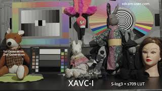 XAVC-I v ProResHQ. Just how good is XAVC-I?