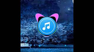 Adrall 8 D No Copy Rights