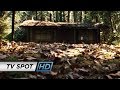 The Cabin in the Woods (2012) - 'Glitch' TV Spot