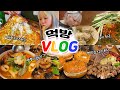 먹데이트VLOG 치즈전+마늘보쌈+짬뽕+짜장+비빔면+베이글+양장피+샐러드파스타+경주식당+만동제과 등등 많이 먹었다~! (ENG,JP SUB)