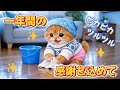 【AI子猫ピコ】年末の大掃除、ピコが「ありがとう」を込めて．．．