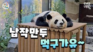 어디까지 납작해지는 거예요???