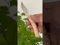 Jagdtaschenmesser Baribal von Au Sabot
