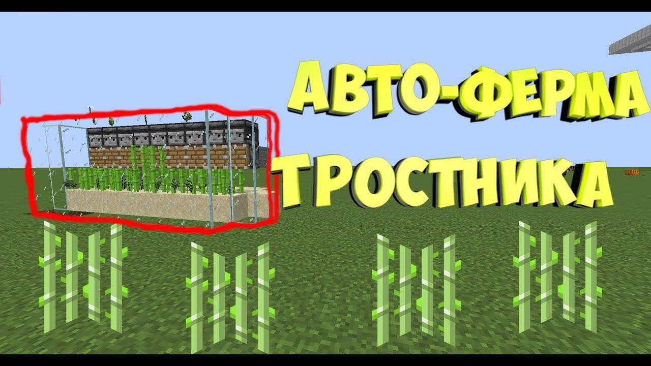 Бесконечная ферма тростника. Автоматическая ферма тростника 1.16.5. Автоматическая ферма тростника 1.12.2. Ферма авто тростника 1 12 2. Автоферма тростника 1.16.