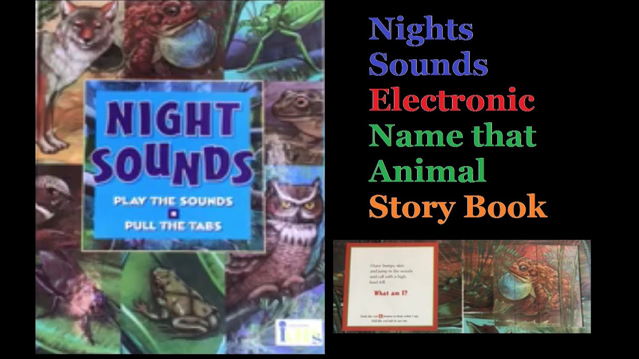 Night Sounds Pull The Tab Animal Children's Animal Electronic Story