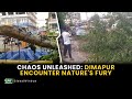 Chaos unleasheddimapur encounter natures fury