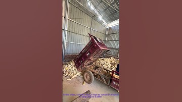 DIY Corn Cob Unloading Hack: Rope & Tricycle for Efficient Harvest
