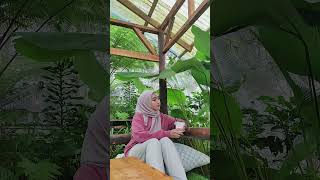 Download Lagu Saha nu rek maturan MP3