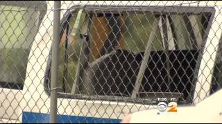 Police Officer Dies, 8 Others Injured In NYPD Van Crash In Hunts Point