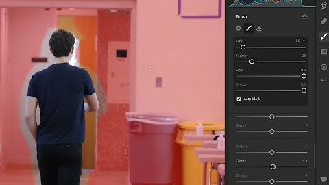 Masking (and Bokeh effect) in Lightroom 2021
