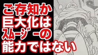 動画 ワンピース ご存知か 巨大化はスムージーの能力ではない 考察 動画でマンガ考察 ネタバレや考察 伏線 最新話の予想 感想集めました