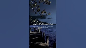 تلاوه خاشعه للشيخ محمد اللحيدان #محمد_اللحيدان #تلاوة_خاشعة #quran #تلاوات #محمد_رسول_الله #لايك