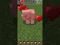 patato allo khaunga patato patato more #coppersan #gaming #minecraft