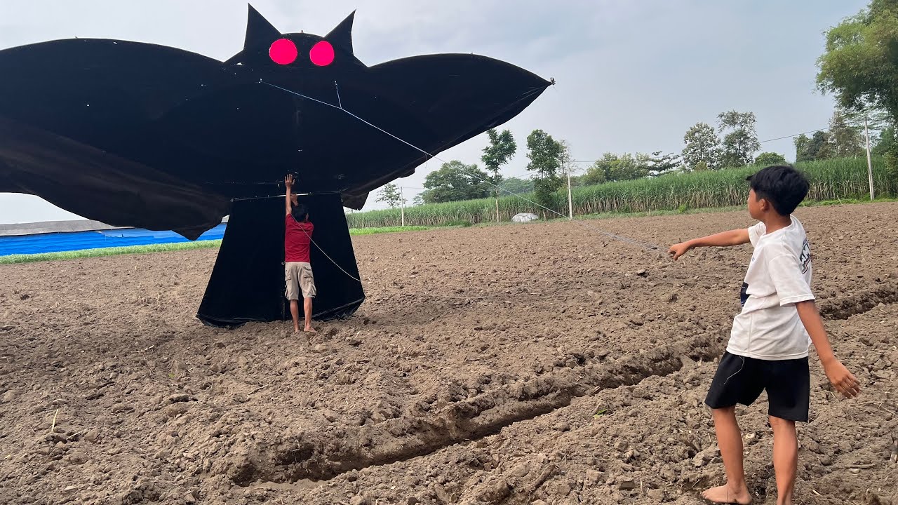 APA YANG TERJADI??Penebangan Layangan Sikepok Big Size 10 Meter