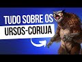 DESVENDANDO O MISTÉRIO DOS URSOS-CORUJA! - Grimório do Mago
