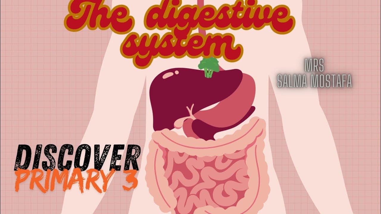 Discover the SHOCKING Truth About Your Digestive System - YouTube