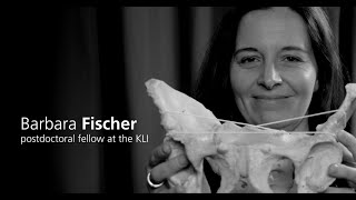 Barbara Fischer  |  Evolution of the Human Pelvis and Childbirth
