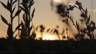 50th Anniversary of the Wilderness Act CONTEST - F5 Today
