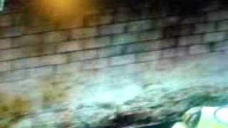 favela glitches brand new !!