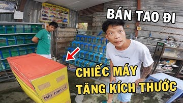 Ông chủ trại cá Betta mua lại Chiếc Máy Thần Kỳ tăng trưởng kích thước và cái kết