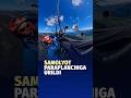 Avstriyada paraplanchi qiz bir o‘limdan qoldi