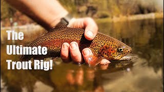How to Catch Trout with a Drop Shot (Trout Fishing Basics)