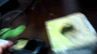 600Watt5x5 grow tent preview # 4