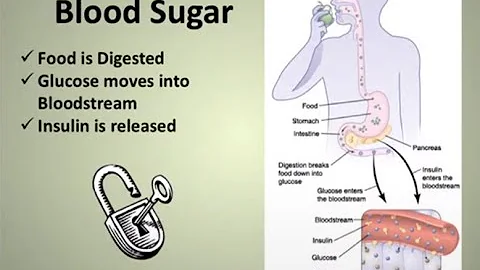 Diabetes Matters: What to Expect When Hospitalized...