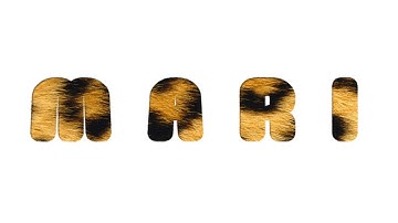 Tutorial 6 : Photoshop - Leopard Text Effect By Desuza MansoN