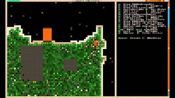 Dwarf Fortress Scarletrocks part 2 - Fort Layout