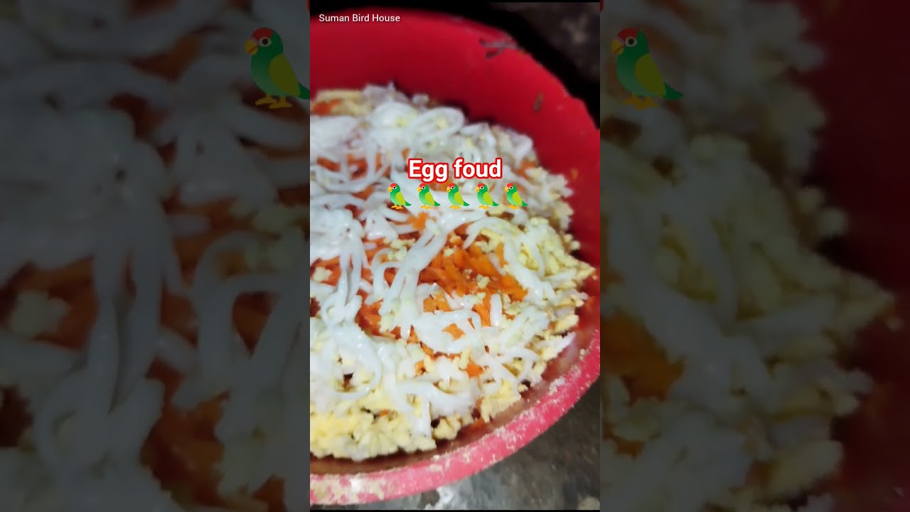 Egg foud  | Suman Bird House | 
