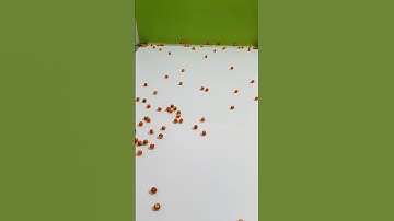 Back to the Beginning: Reverse Stories with Orbs and Pearls. #reverse #reversefilming #reversemotion