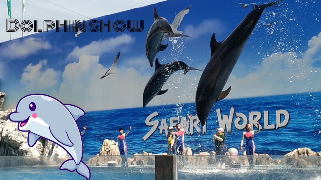 #safari#dolphin#dolphinshow#youtube#youtubevideo#viral#viralfeeds#trend#trending 