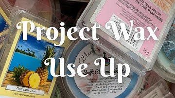 Project Wax Use Up Intro