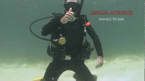 Hover, Skill # 15.mpg